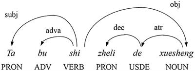 Typological characteristics of interlanguage: Across L2 modalities and proficiency levels